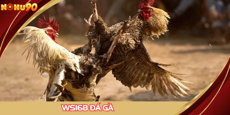 WS168 Đá Gà